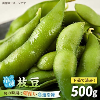 枝豆 500g 冷凍 旬の時期に急速冷凍 糸島産 オーガニックナガミツファーム [AGE042]