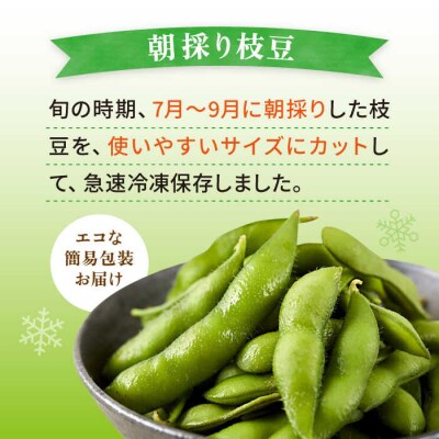 枝豆 500g 冷凍 旬の時期に急速冷凍 糸島産 オーガニックナガミツファーム [AGE042]