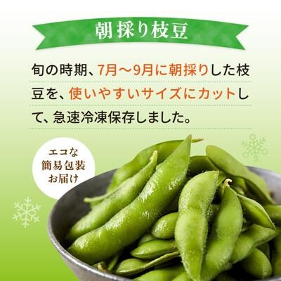 枝豆 500g 冷凍 旬の時期に急速冷凍 糸島産 オーガニックナガミツファーム [AGE042]