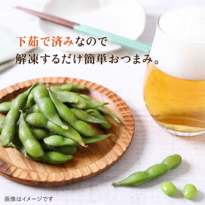 枝豆 500g 冷凍 旬の時期に急速冷凍 糸島産 オーガニックナガミツファーム [AGE042]