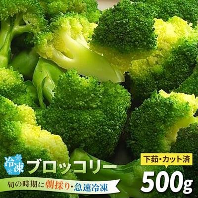 ブロッコリー500g 冷凍 旬の時期に急速冷凍 糸島産 オーガニックナガミツファーム[AGE043]