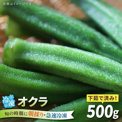 オクラ500g 冷凍 旬の時期に急速冷凍 福岡県糸島産 オーガニックナガミツファーム[AGE044]