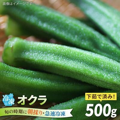 オクラ500g 冷凍 旬の時期に急速冷凍 福岡県糸島産 オーガニックナガミツファーム[AGE044]