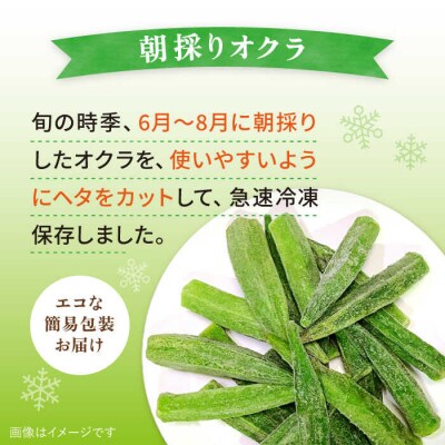 オクラ500g 冷凍 旬の時期に急速冷凍 福岡県糸島産 オーガニックナガミツファーム[AGE044]