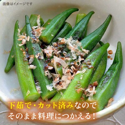 オクラ500g 冷凍 旬の時期に急速冷凍 福岡県糸島産 オーガニックナガミツファーム[AGE044]