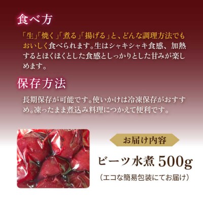 【限定】スーパーフード ビーツ水煮500g 糸島産 オーガニックナガミツファーム[AGE045]
