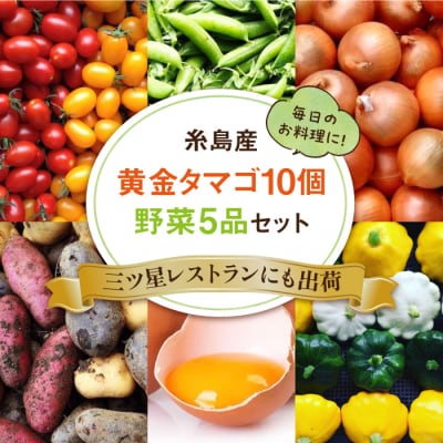 糸島の朝産み黄金タマゴ10個 朝どれ新鮮野菜5品セット オーガニックナガミツファーム[AGE046]