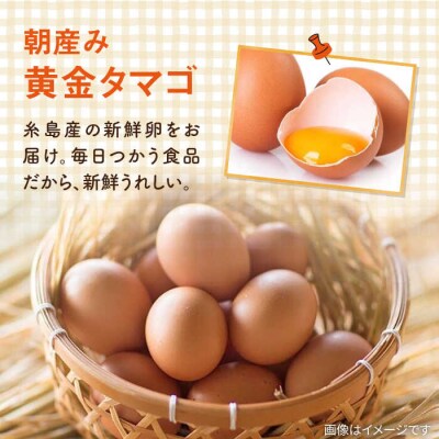 【全3回定期便】糸島の朝産み黄金タマゴ10個 朝どれ新鮮野菜5品セット 糸島産 [AGE047]