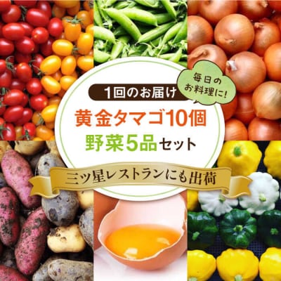 【全12回定期便】糸島の朝産み黄金タマゴ10個 朝どれ新鮮野菜5品セット 糸島産 [AGE049]