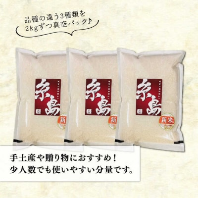 長期保存可能 五ツ星お米マイスターが厳選 品種おまかせ 白米 6kg 納富米穀店[ARL004]