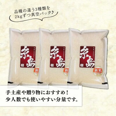 長期保存可能 五ツ星お米マイスター 品種おまかせ白米 6kg 米屋納富[ARL004]