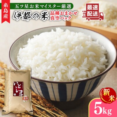 【年内発送】長期保存可能 五ツ星お米マイスター 品種おまかせ 白米5kg 納富米穀店[ARL005]