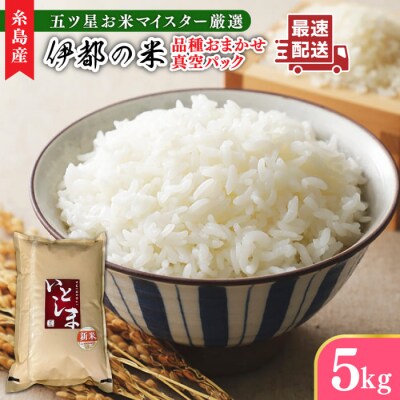 長期保存可能 五ツ星お米マイスター 品種おまかせ 白米5kg 米屋納富[ARL005]