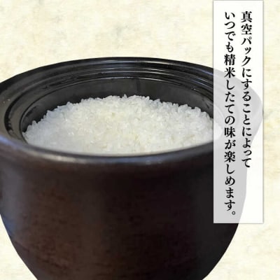 長期保存可能 五ツ星お米マイスター 品種おまかせ 白米5kg 納富米穀店[ARL005]