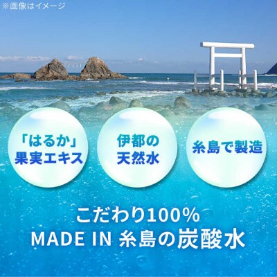 【期間限定】糸島はるかの炭酸水 500ml×24本入り 糸島市/スターナイン [ARM021]