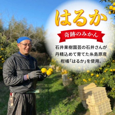 【期間限定】糸島はるかの炭酸水 500ml×24本入り 糸島市/スターナイン [ARM021]