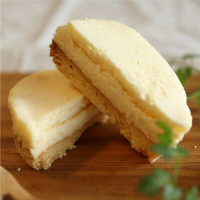 【全6回定期便】無添加チーズのいとしまチーズケーキ【10個入り】糸島手作り工房爽風 [ATA009]