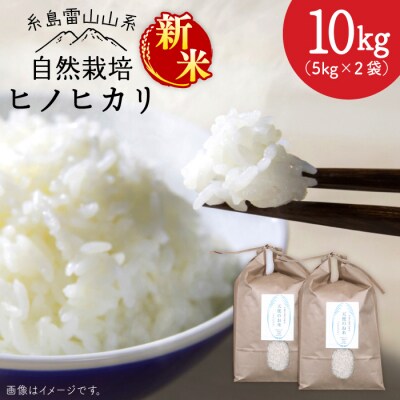 自然栽培 ヒノヒカリ 10kg 糸島市/大石ファーム [ATE002]