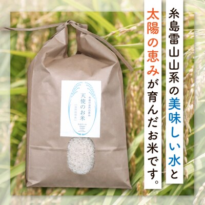 【 全3回 定期便 】 自然栽培 ヒノヒカリ 5kg 糸島市/大石ファーム [ATE017]