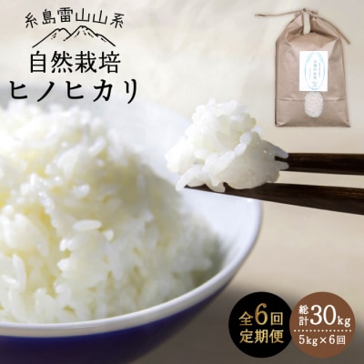 【 全6回 定期便 】自然栽培 ヒノヒカリ 5kg 糸島市/大石ファーム [ATE018]