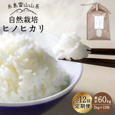 【 全12回 定期便 】 自然栽培 ヒノヒカリ 5kg 糸島市/大石ファーム [ATE019]
