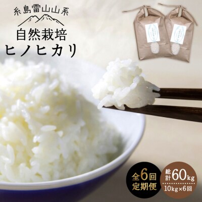 【 全6回 定期便 】 自然栽培 ヒノヒカリ 10kg 糸島市/大石ファーム [ATE021]