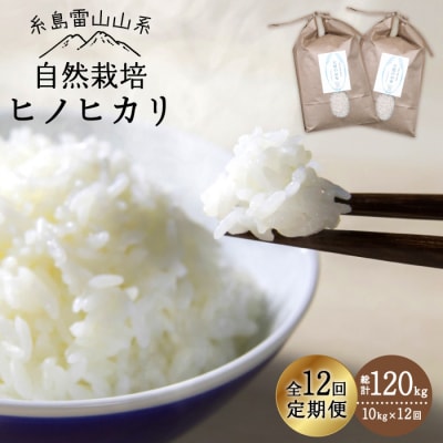 【 全12回 定期便 】 自然栽培 ヒノヒカリ 10kg 糸島市/大石ファーム [ATE022]