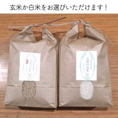 【 全12回 定期便 】 自然栽培 ヒノヒカリ 10kg 糸島市/大石ファーム [ATE022]