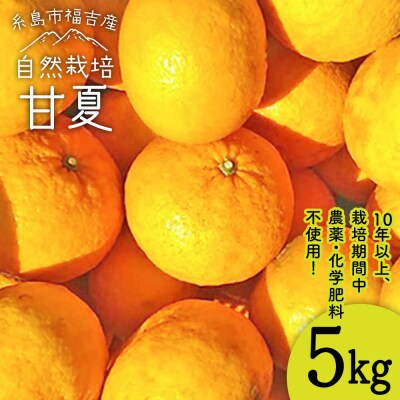 甘夏 5kg 【栽培期間中農薬・化学肥料不使用】 糸島市/大石ファーム [ATE044]