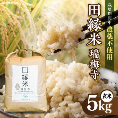 田縁米(でんえんまい)・瑞梅寺(ずいばいじ) 玄米5kg NPO法人田縁プロジェクト[ATM005]