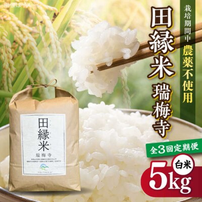 【全3回定期便】 田縁米(でんえんまい)・瑞梅寺(ずいばいじ) 白米 5kg 米 [ATM006]