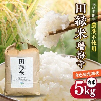 【全6回定期便】 田縁米(でんえんまい)・瑞梅寺(ずいばいじ) 白米 5kg 米 [ATM007]