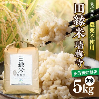 【全3回定期便】 田縁米(でんえんまい)・瑞梅寺(ずいばいじ) 玄米 5kg 米 [ATM008]