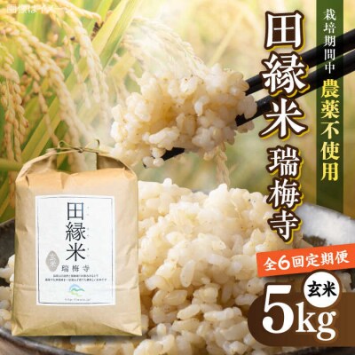 【全6回定期便】 田縁米(でんえんまい)・瑞梅寺(ずいばいじ) 玄米 5kg 米 [ATM009]