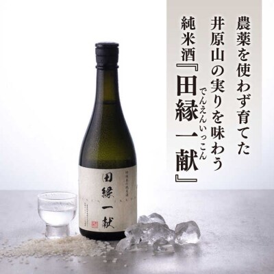 田縁一献(でんえんいっこん)七夕生搾り 720ml×2[AUM001]