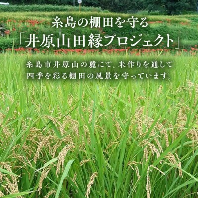 田縁一献(でんえんいっこん)七夕生搾り 720ml×1[AUM002]