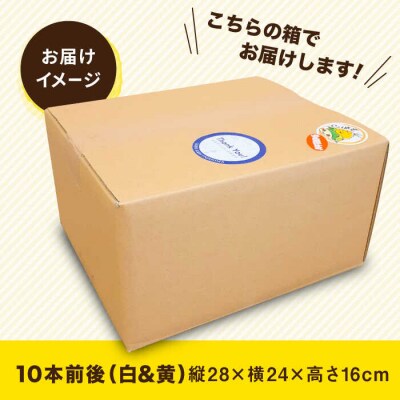 糸島産 トウモロコシ「もきっこ」白黄ミックス(10本前後)糸島市/内田農業[AZH003]