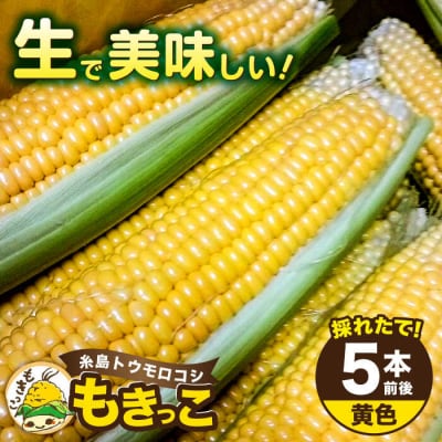 糸島産 トウモロコシ 「もきっこ」 黄 (5本前後) 内田農業 とうもろこし コーン[AZH004]