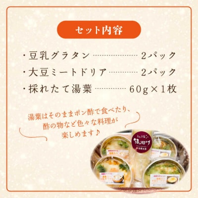湯葉三昧セット(豆乳グラタン×2+大豆ミートドリア×2+湯葉60g) 酒瀬川[AZJ009]