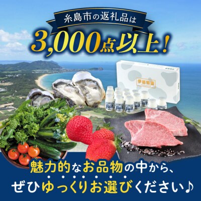 【あとから選べる】 糸島市ふるさとギフト 寄付額7万円分[AZZ006]