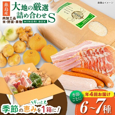【全4回定期便】糸島産 肉 米 野菜 果物 厳選詰め合わせ Sサイズ [AOP001]