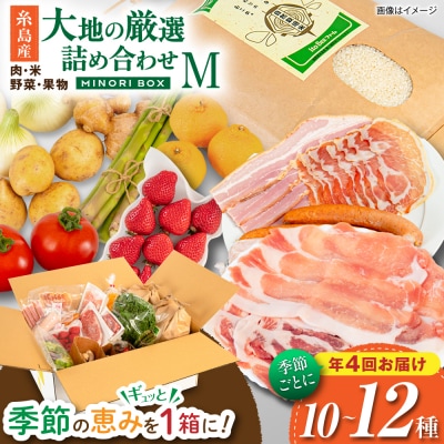 【全4回定期便】糸島産 肉 米 野菜 果物 厳選詰め合わせ Mサイズ [AOP002]