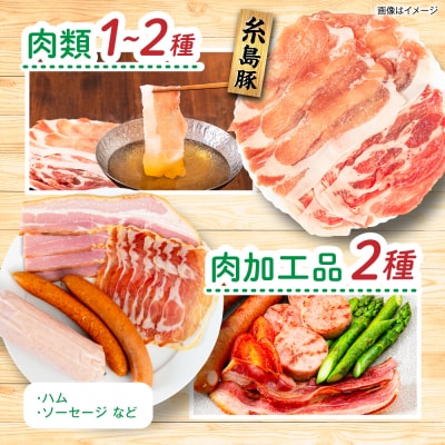 【全4回定期便令和7年産新米】糸島産 肉 米 野菜 果物 厳選詰め合わせ Mサイズ [AOP002]