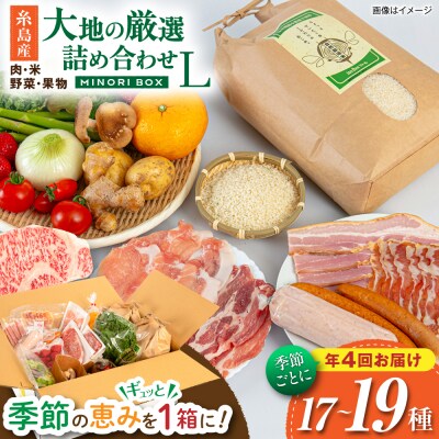 【全4回定期便】糸島産 肉 米 野菜 果物 厳選詰め合わせ Lサイズ [AOP003]