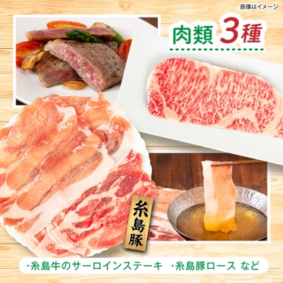 【全4回定期便令和7年産新米】糸島産 肉 米 野菜 果物 厳選詰め合わせ Lサイズ [AOP003]