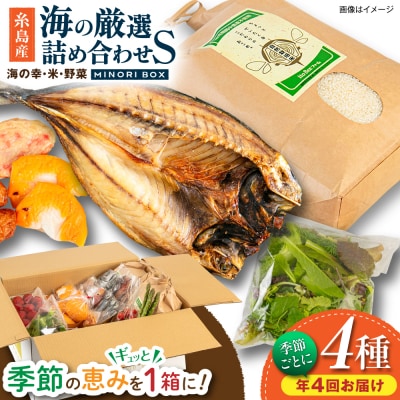 【全4回定期便令和7年産新米】糸島産 魚 米 野菜 果物 厳選詰め合わせ Sサイズ [AOP004]