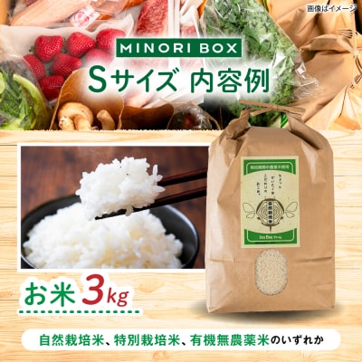 【全4回定期便令和7年産新米】糸島産 魚 米 野菜 果物 厳選詰め合わせ Sサイズ [AOP004]