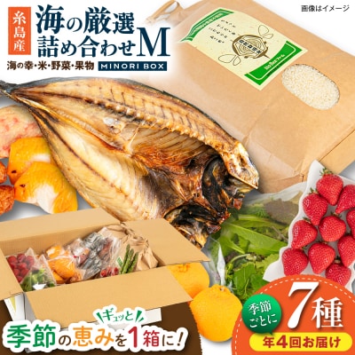 【全4回定期便】糸島産 魚 米 野菜 果物 厳選詰め合わせ Mサイズ [AOP005]