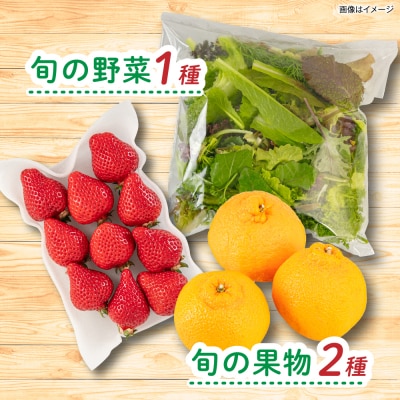 【全4回定期便令和7年産新米】糸島産 魚 米 野菜 果物 厳選詰め合わせ Mサイズ [AOP005]