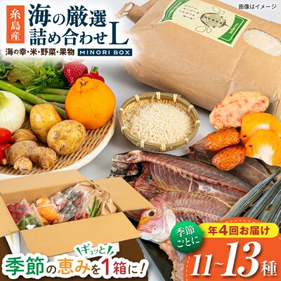 【全4回定期便】糸島産 魚 米 野菜 果物 厳選合わせ Lサイズ　[AOP006]
